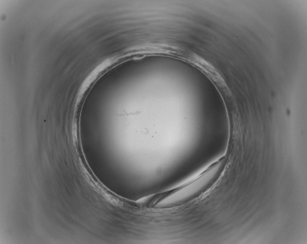 X0000078831188200611271249