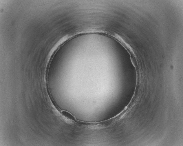 X0000078831189200611271249