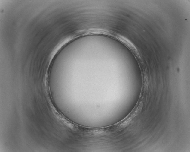 X0000078831190200611271249