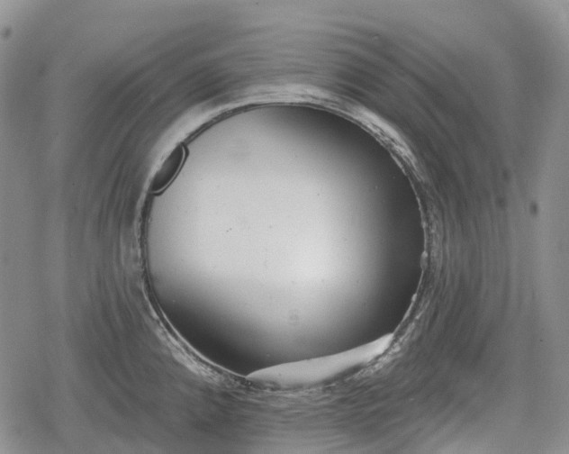 X0000078831192200611271249