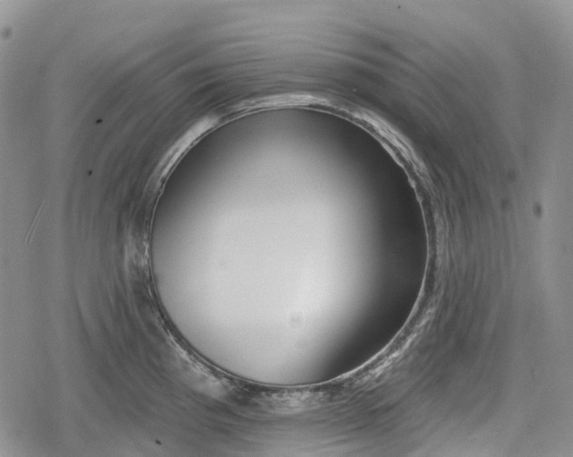 X0000078831193200611271249