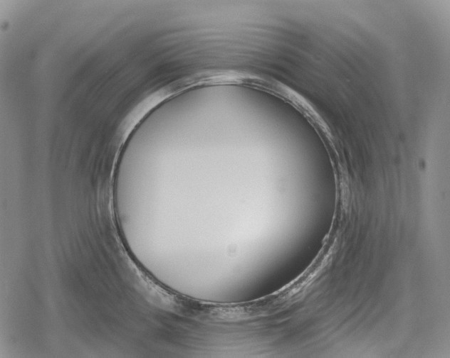 X0000078831194200611271249