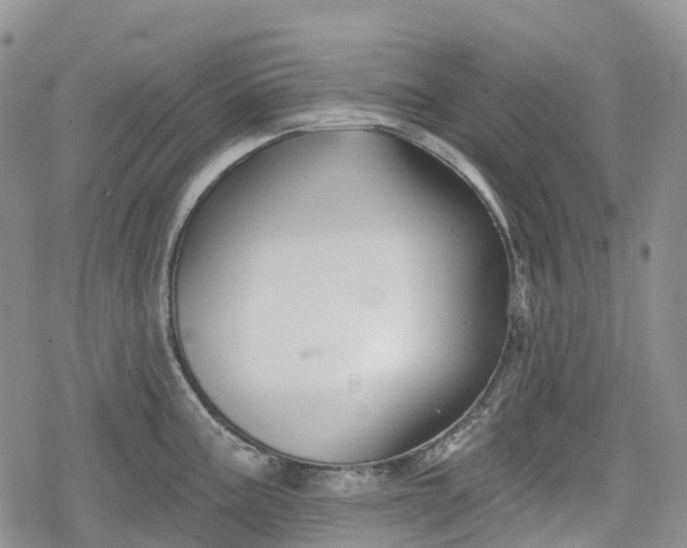 X0000078831195200611271249