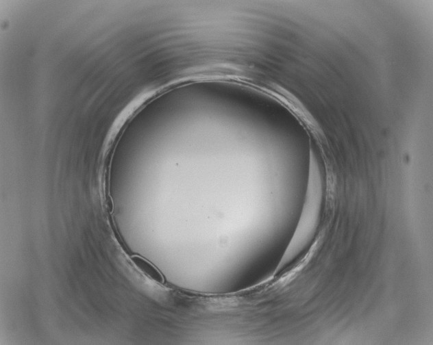 X0000078831196200611271249