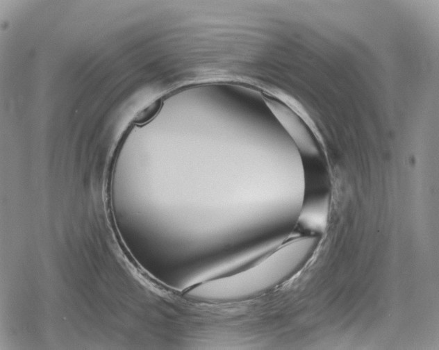 X0000078831197200611271249