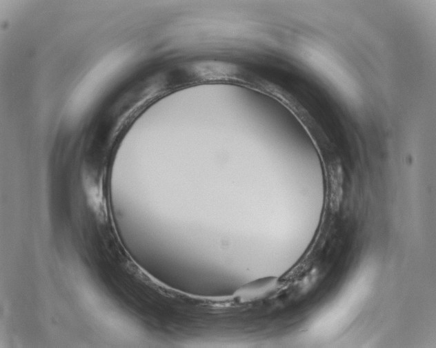 X0000078831198200611271249