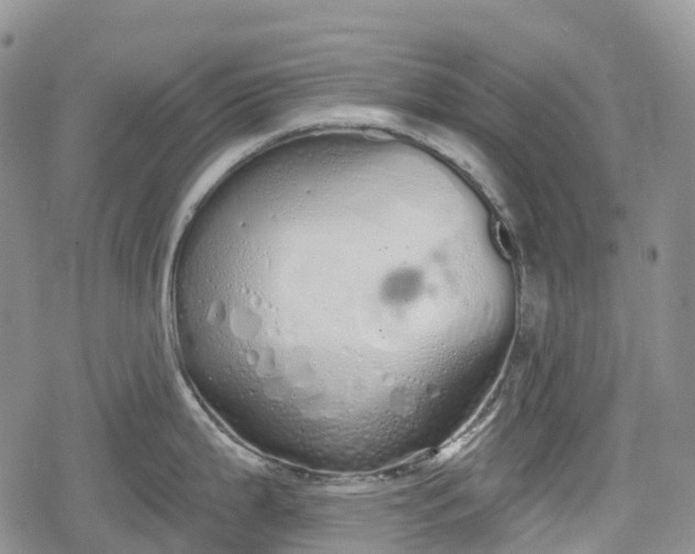 X0000078831199200611271249