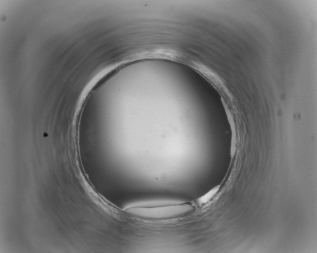 X0000078831200200611271249