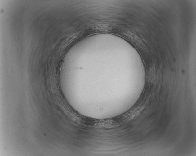 X0000078831201200611271248