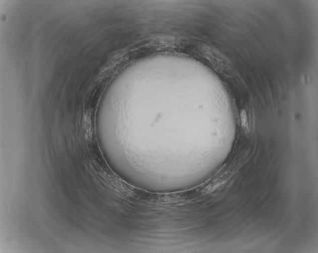 X0000078831203200611271248