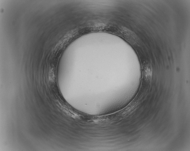 X0000078831204200611271248