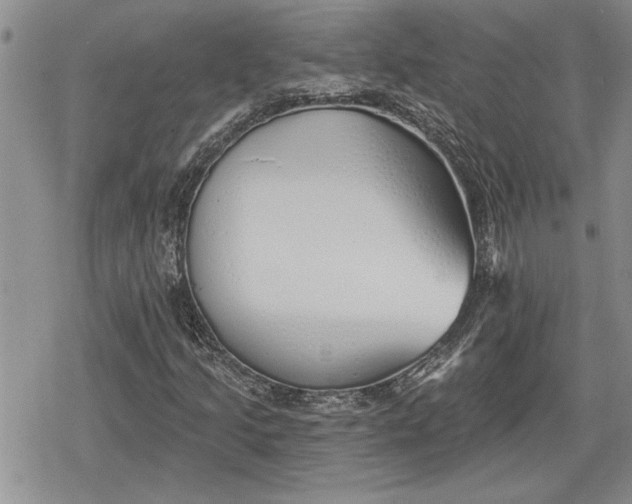 X0000078831205200611271248