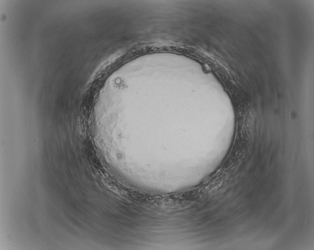 X0000078831207200611271248