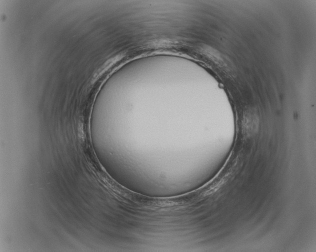 X0000078831209200611271248