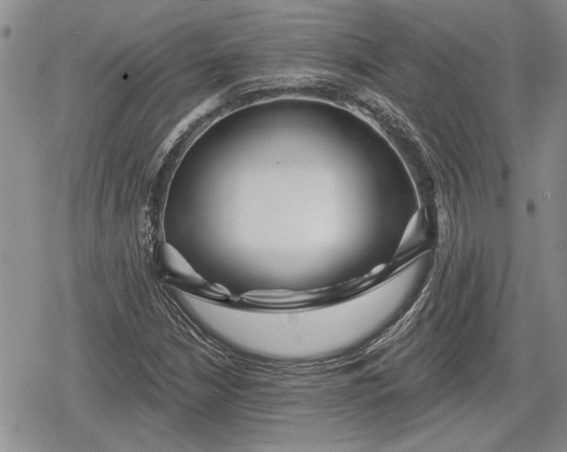 X0000078831210200611271248