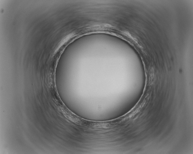 X0000078831211200611271248