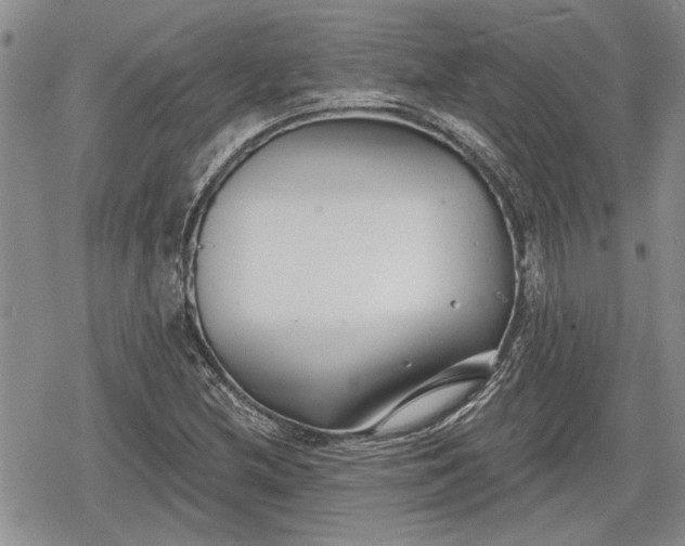 X0000078831212200611271248