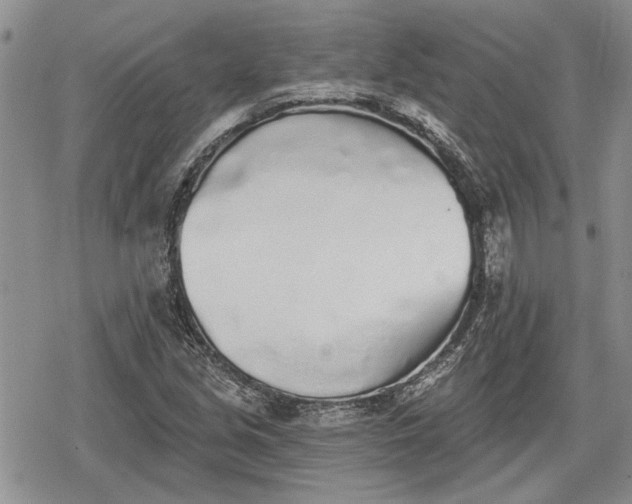 X0000078831213200611271248