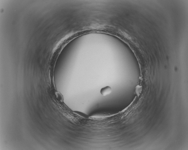 X0000078831214200611271248