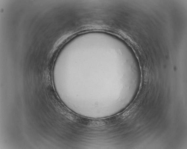 X0000078831215200611271248