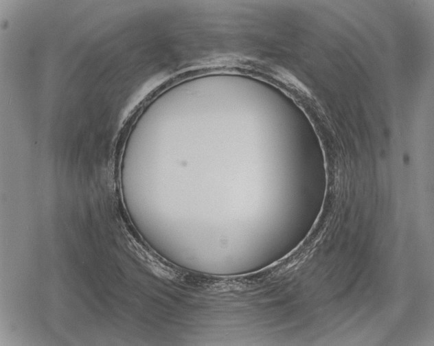 X0000078831216200611271248