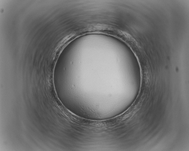 X0000078831217200611271249