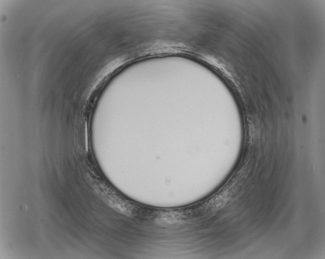 X0000078831219200611271249