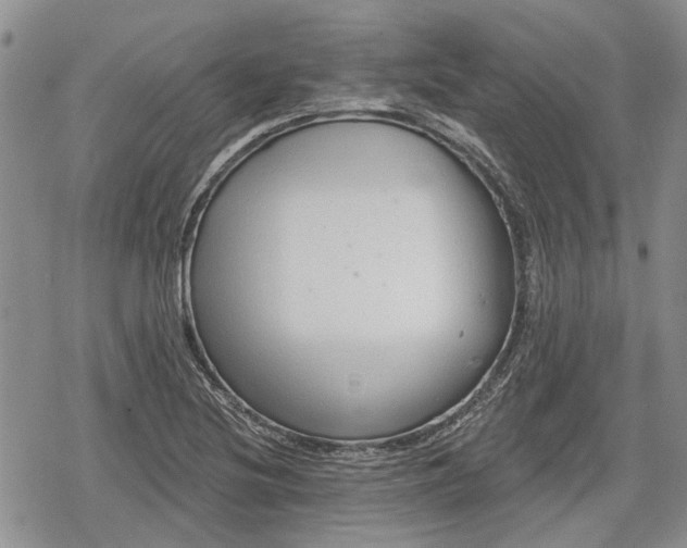 X0000078831220200611271249