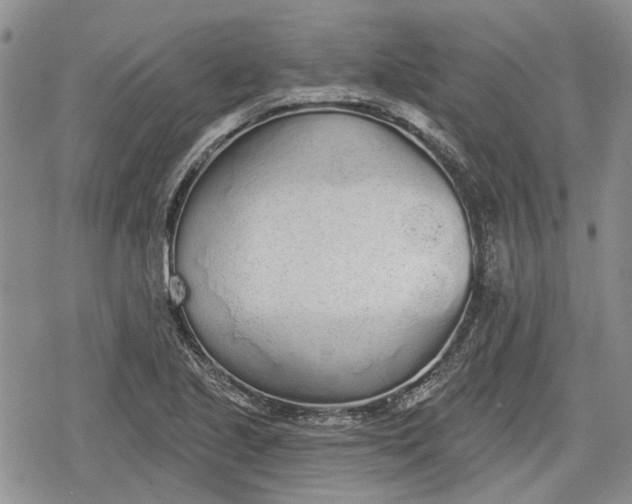 X0000078831221200611271249