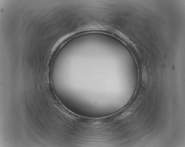 X0000078831222200611271249