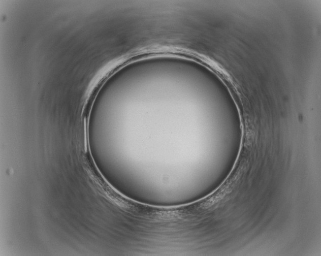 X0000078831223200611271249