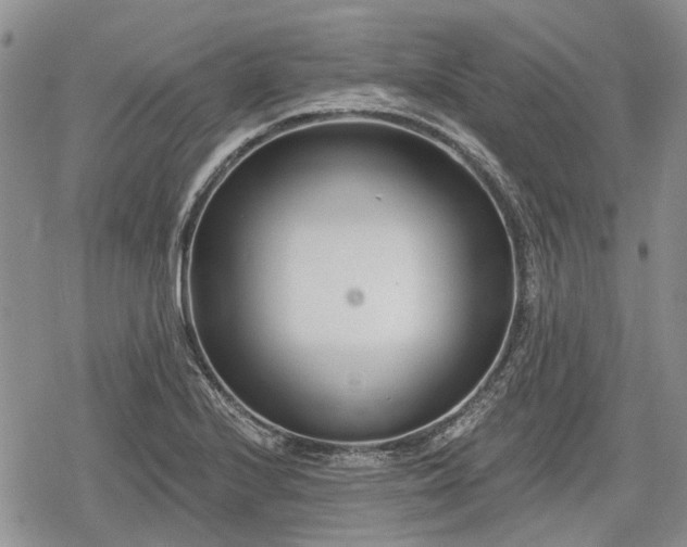 X0000078831224200611271249