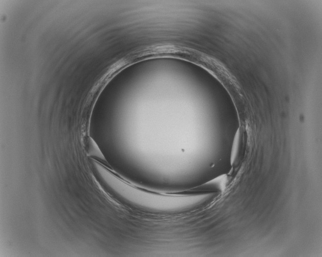 X0000078831225200611271249