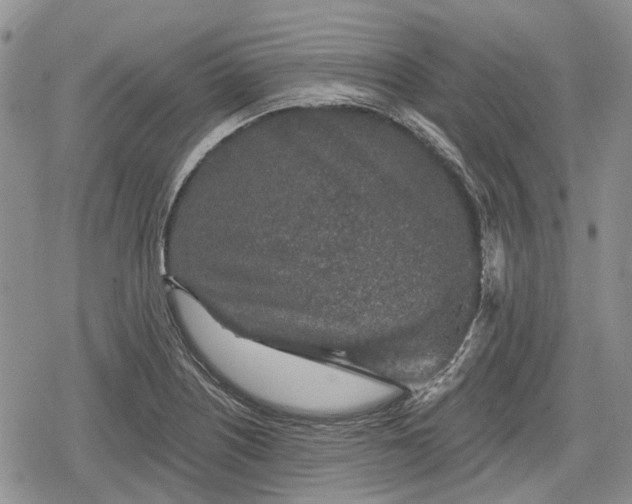 X0000078831226200611271249