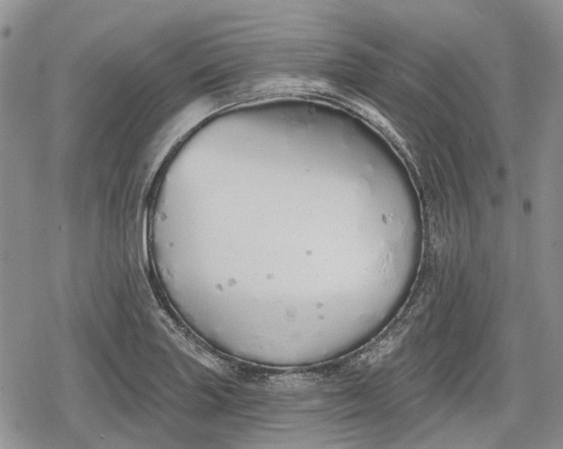 X0000078831227200611271249