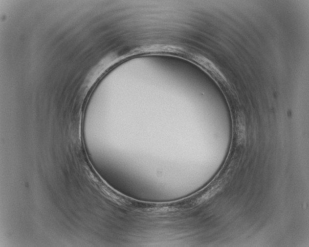 X0000078831228200611271249