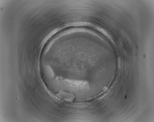 X0000078831229200611271249