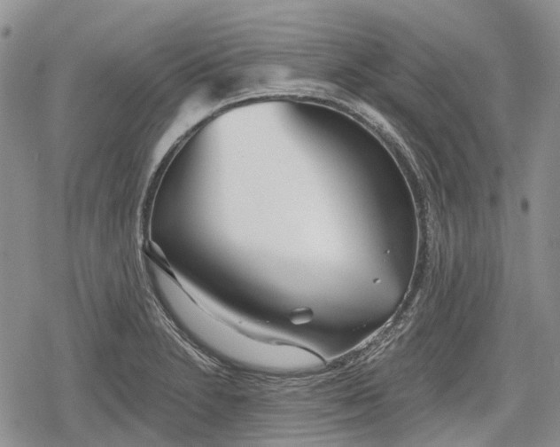 X0000078831230200611271249