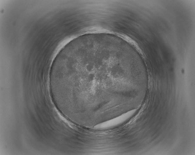 X0000078831231200611271249