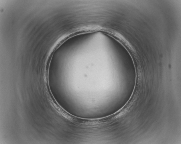 X0000078831232200611271249