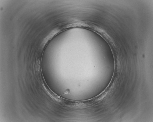 X0000078831233200611271249