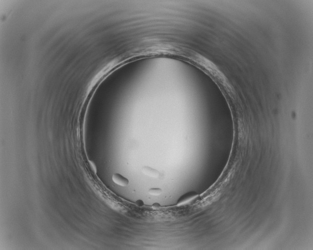 X0000078831234200611271249