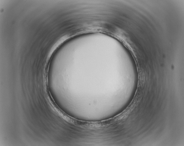 X0000078831235200611271249