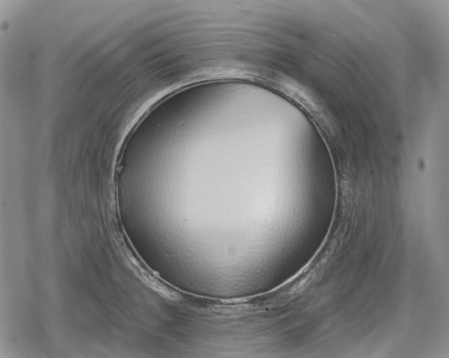 X0000078831236200611271249