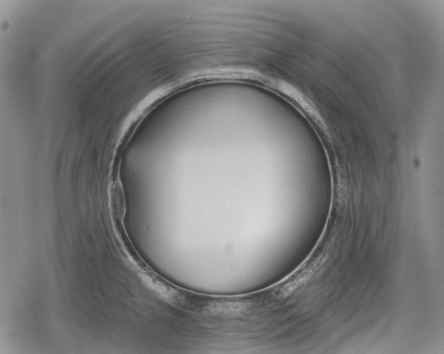 X0000078831237200611271249