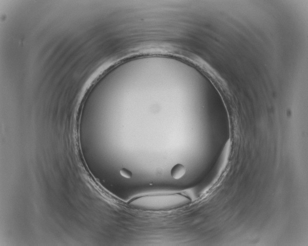 X0000078831240200611271249