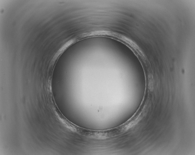 X0000078831241200611271249