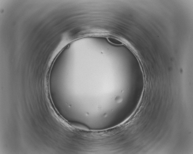 X0000078831243200611271249