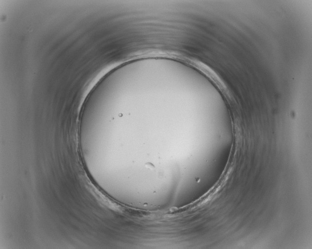 X0000078831244200611271249