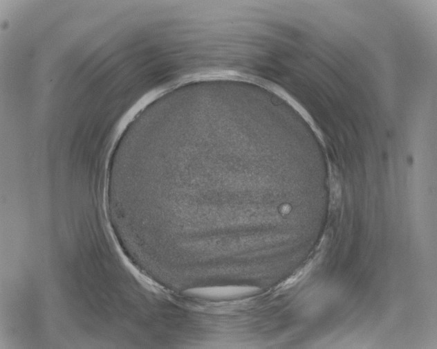 X0000078831245200611271249